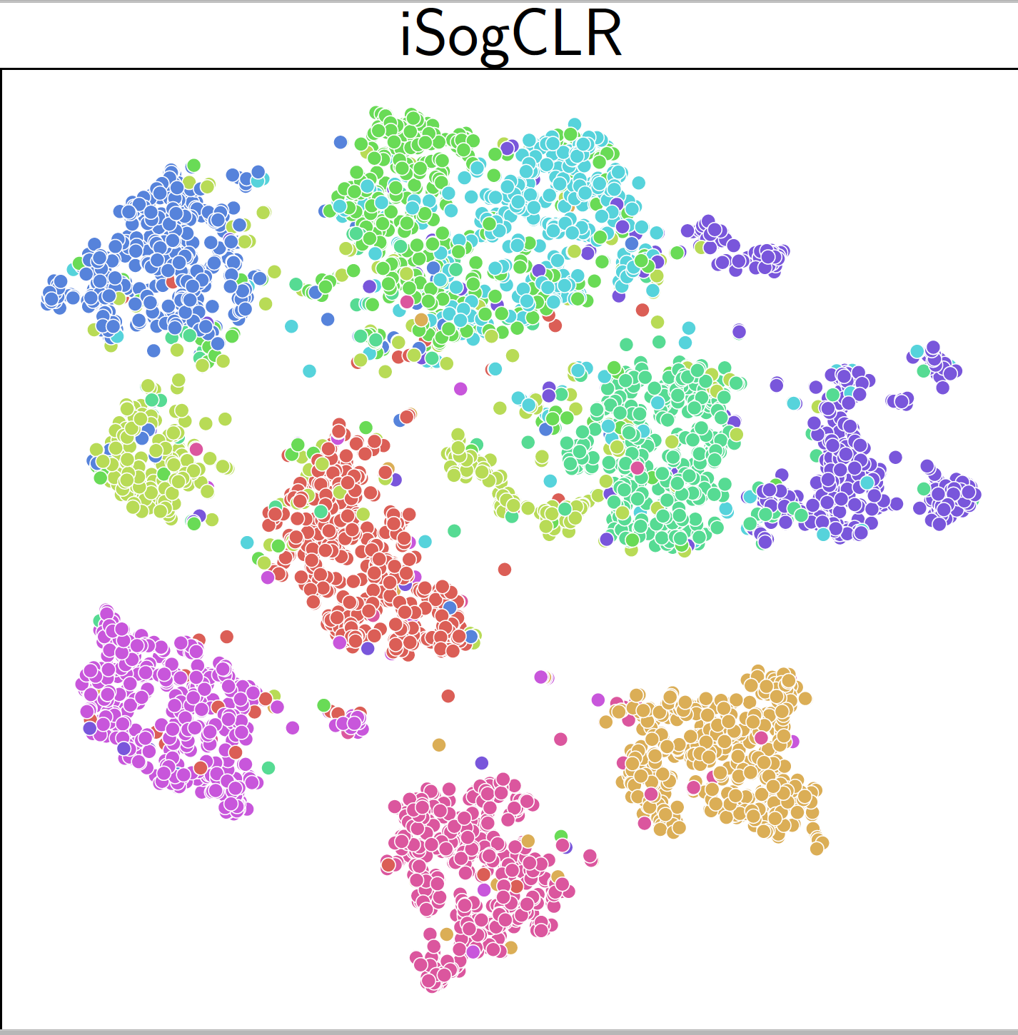 iSogCLR t-SNE