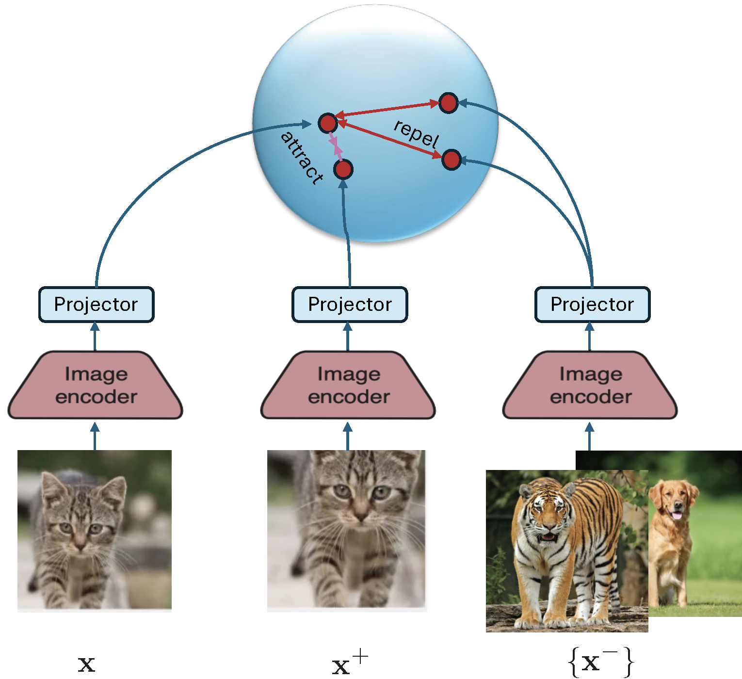 Illustration of SimCLR for Contrastive Visual Representation Learning