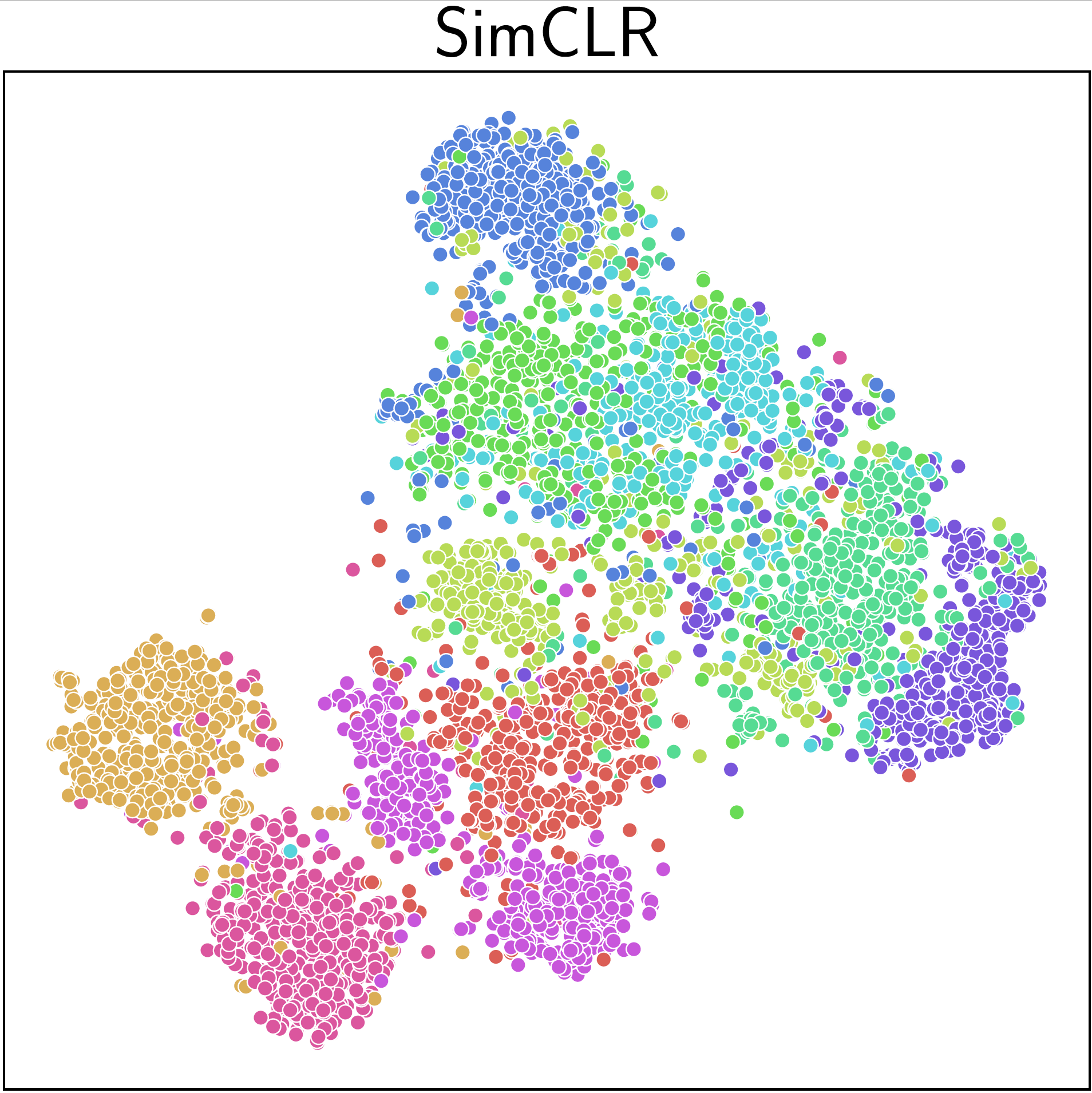 SimCLR t-SNE